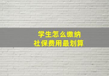 学生怎么缴纳社保费用最划算