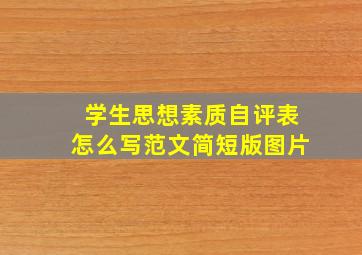 学生思想素质自评表怎么写范文简短版图片