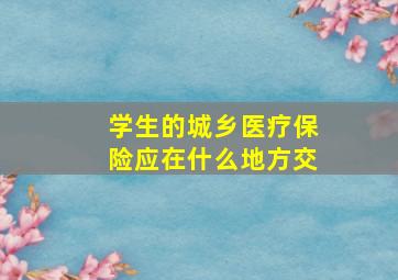 学生的城乡医疗保险应在什么地方交