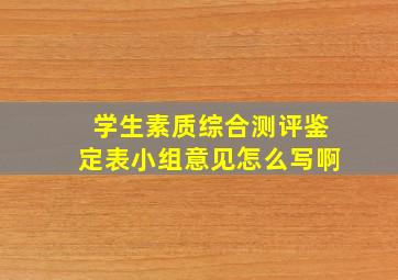 学生素质综合测评鉴定表小组意见怎么写啊