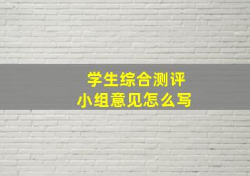 学生综合测评小组意见怎么写