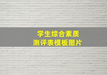 学生综合素质测评表模板图片