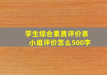 学生综合素质评价表小组评价怎么500字