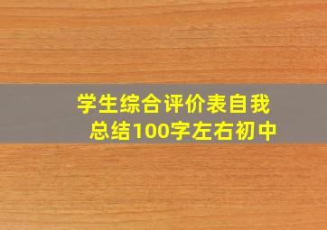 学生综合评价表自我总结100字左右初中