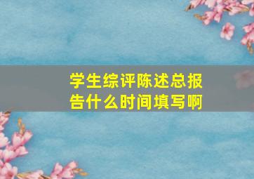 学生综评陈述总报告什么时间填写啊