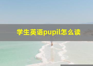 学生英语pupil怎么读