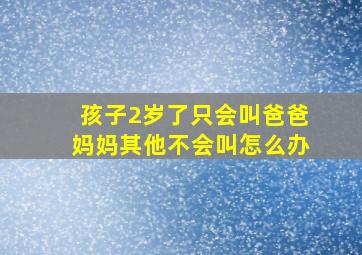 孩子2岁了只会叫爸爸妈妈其他不会叫怎么办