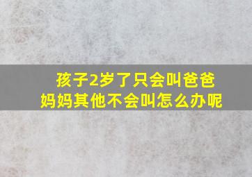 孩子2岁了只会叫爸爸妈妈其他不会叫怎么办呢