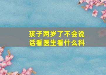 孩子两岁了不会说话看医生看什么科