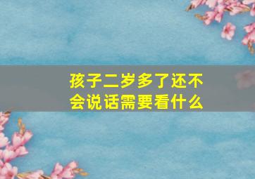 孩子二岁多了还不会说话需要看什么