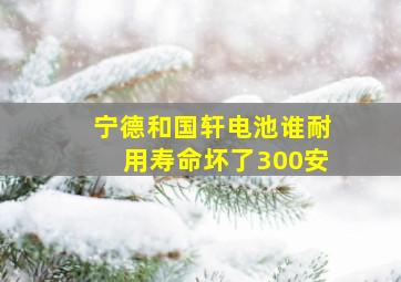 宁德和国轩电池谁耐用寿命坏了300安