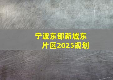 宁波东部新城东片区2025规划