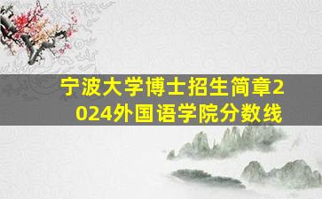 宁波大学博士招生简章2024外国语学院分数线