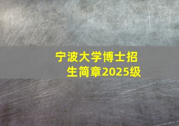 宁波大学博士招生简章2025级