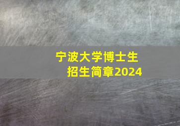 宁波大学博士生招生简章2024