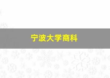 宁波大学商科