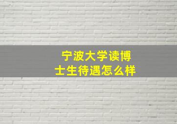 宁波大学读博士生待遇怎么样