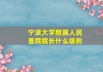 宁波大学附属人民医院院长什么级别