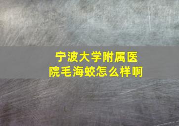 宁波大学附属医院毛海蛟怎么样啊