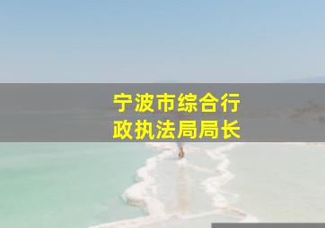 宁波市综合行政执法局局长