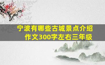 宁波有哪些古城景点介绍作文300字左右三年级