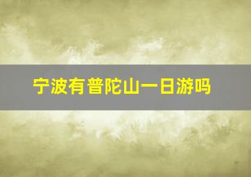 宁波有普陀山一日游吗