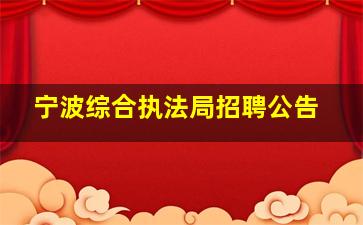 宁波综合执法局招聘公告