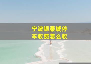 宁波银泰城停车收费怎么收