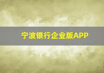 宁波银行企业版APP