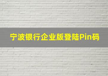 宁波银行企业版登陆Pin码