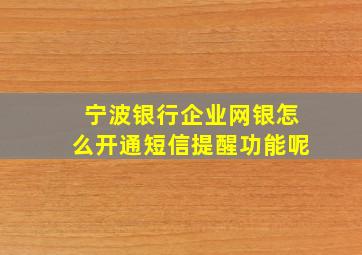 宁波银行企业网银怎么开通短信提醒功能呢