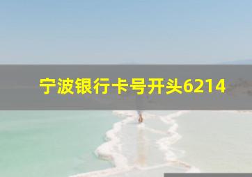 宁波银行卡号开头6214