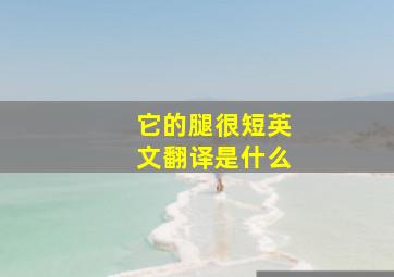 它的腿很短英文翻译是什么