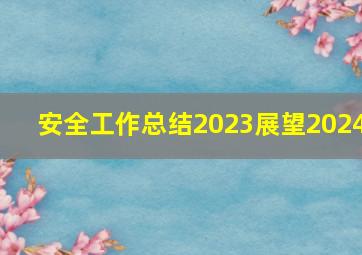 安全工作总结2023展望2024