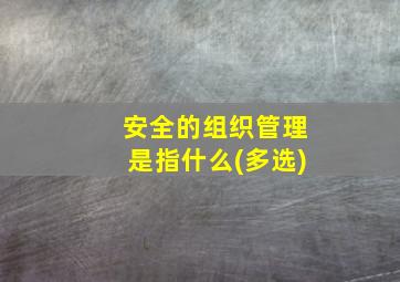 安全的组织管理是指什么(多选)