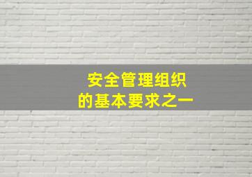 安全管理组织的基本要求之一