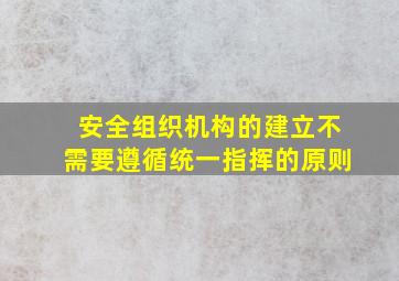 安全组织机构的建立不需要遵循统一指挥的原则