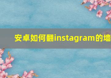 安卓如何翻instagram的墙