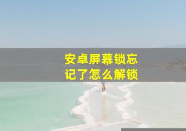 安卓屏幕锁忘记了怎么解锁