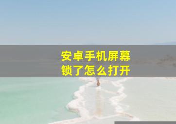 安卓手机屏幕锁了怎么打开