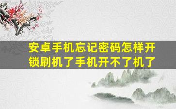 安卓手机忘记密码怎样开锁刷机了手机开不了机了