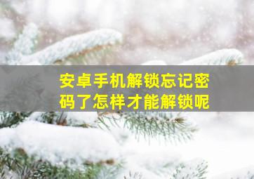 安卓手机解锁忘记密码了怎样才能解锁呢