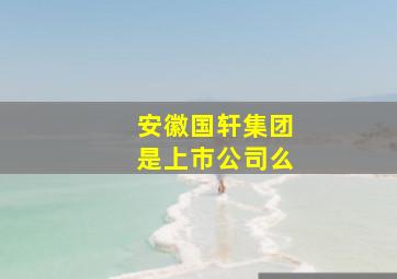 安徽国轩集团是上市公司么