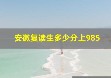 安徽复读生多少分上985