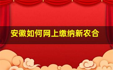 安徽如何网上缴纳新农合