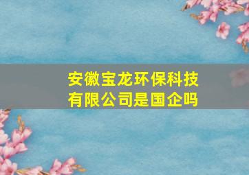 安徽宝龙环保科技有限公司是国企吗