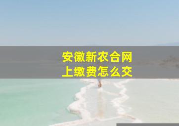 安徽新农合网上缴费怎么交