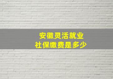 安徽灵活就业社保缴费是多少