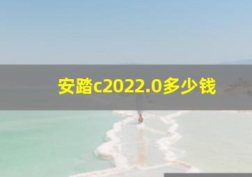 安踏c2022.0多少钱