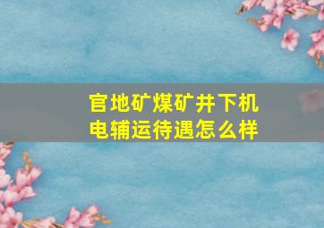 官地矿煤矿井下机电辅运待遇怎么样